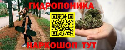 прущие грибы Конаково