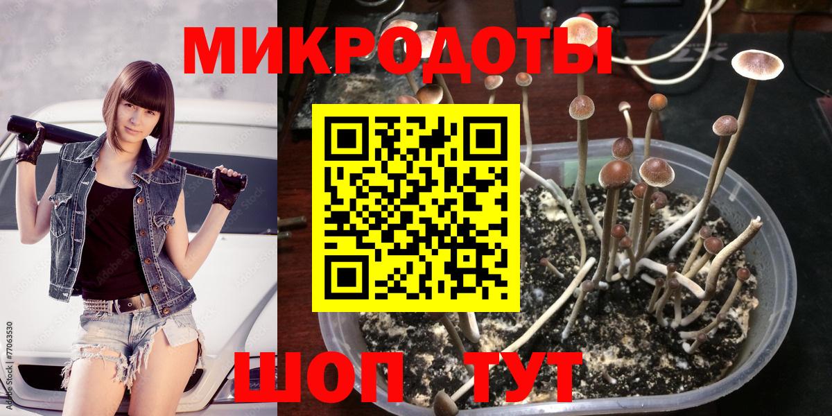 Псилоцибиновые грибы Psilocybine cubensis  даркнет сайт  Зеленодольск  Вход с VPN 